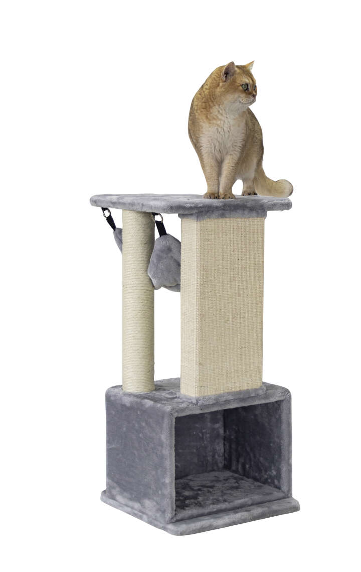 Nobby Kratzbaum Idris